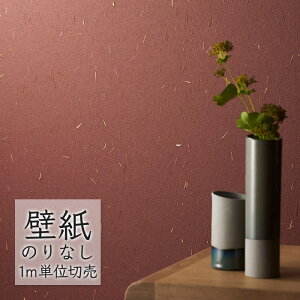 ǎ ̂Ȃ NX VR[ WALL PRO n aE SW30062 i1mPʁj