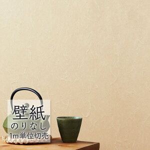 ǎ ̂Ȃ NX VR[ WALL PRO n aE SW30064 i1mPʁj