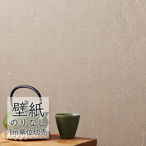 ǎ ̂Ȃ NX VR[ WALL PRO n aE SW30065 i1mPʁj