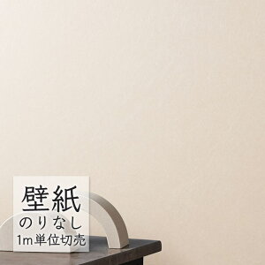 ǎ ̂Ȃ NX VR[ WALL PRO n aE SW30066 i1mPʁj