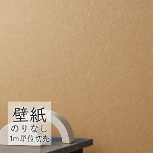 ǎ ̂Ȃ NX VR[ WALL PRO n aE SW30067 i1mPʁj