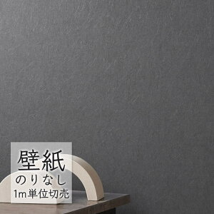 ǎ ̂Ȃ NX VR[ WALL PRO n aE SW30068 i1mPʁj