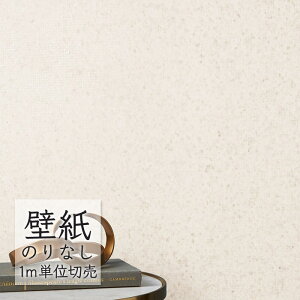 ǎ ̂Ȃ NX VR[ WALL PRO n aE SW30069 i1mPʁj
