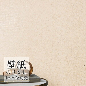 ǎ ̂Ȃ NX VR[ WALL PRO n aE SW30070 i1mPʁj