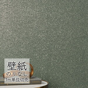 ǎ ̂Ȃ NX VR[ WALL PRO n aE SW30071 i1mPʁj