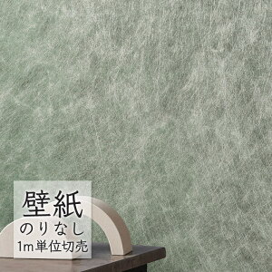 ǎ ̂Ȃ NX VR[ WALL PRO n aE SW30073 i1mPʁj