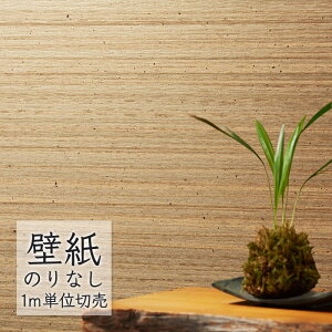 ǎ ̂Ȃ NX VR[ WALL PRO n aE SW30075 i1mPʁj