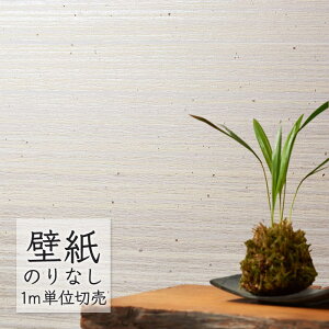 ǎ ̂Ȃ NX VR[ WALL PRO n aE SW30076 i1mPʁj