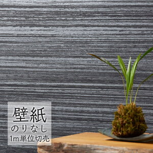 ǎ ̂Ȃ NX VR[ WALL PRO n aE SW30077 i1mPʁj