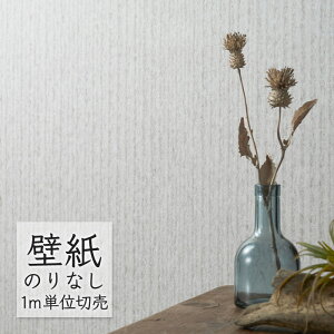 ǎ ̂Ȃ NX VR[ WALL PRO n aE SW30083 i1mPʁj