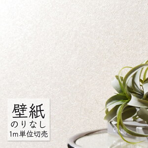 ǎ ̂Ȃ NX VR[ WALL PRO n aE SW30086 i1mPʁj