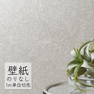 ǎ ̂Ȃ NX VR[ WALL PRO n aE SW30088 i1mPʁj