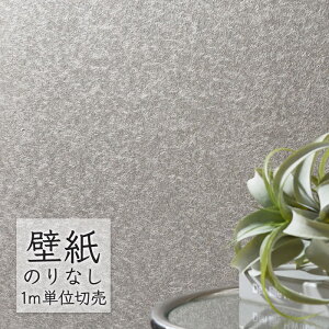 ǎ ̂Ȃ NX VR[ WALL PRO n aE SW30089 i1mPʁj