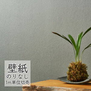 ǎ ̂Ȃ NX VR[ WALL PRO n aE Ya SW30090 i1mPʁj