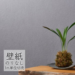 ǎ ̂Ȃ NX VR[ WALL PRO n aE Ya SW30091 i1mPʁj