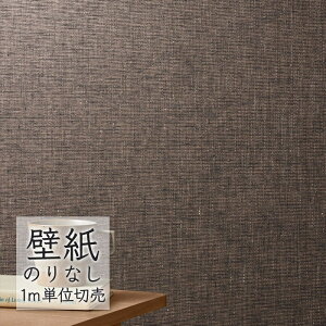 ǎ ̂Ȃ NX VR[ WALL PRO n DEz SWT30111 i1mPʁj