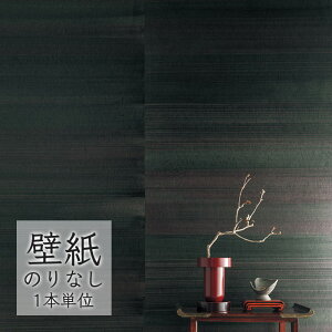 ǎ ̂Ȃ NX VR[ WALL PRO  aE F@낷 WWT30357 i1{Pʁj