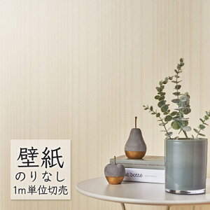 ǎ ̂Ȃ NX VR[ WALL PRO  aE ~j WWT30374 i1mPʁj