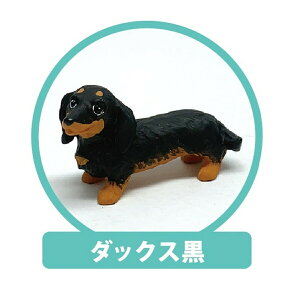 REAL DOG �E�b�h�X�g���b�v�i�_�b�N�X���jRD-WS003 ���[���� �y�����������C���Ή��z