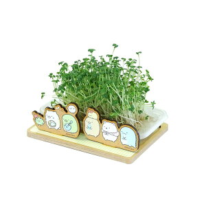 ݂R炵 XvEg͔|Lbg(}X^[hXvEg) SG1250C Sumikkogurashi [ yCΉz