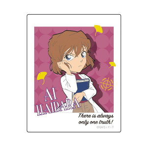 TRi XebJ[i|ChDj CO-SE025 4996740599729 Detective CONAN [ yCΉz