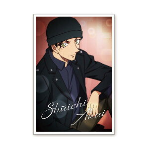 TRi |XgJ[hifilmphoto Ԉj CO-PT113 4996740603815 Detective CONAN [ yCΉz