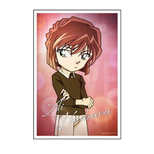 TRi XebJ[ifilmphoto Dj CO-SE045 4996740604522 Detective CONAN [ yCΉz