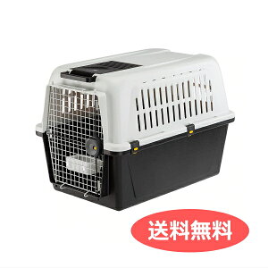  AgX 60 vtFbVi C^AferplastА atlas 60 ^p L[ ybgL[  Q[W s@IATAqANA 73060021 8010690058184 | ybgpi FW y