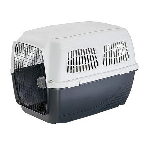  C^AferplastАuNbp[L[ 6v ω׏d45kg܂ 73119021 8010690203003 | ybgpi FW yCΉz