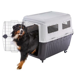  AgX 80 atlas 80 C^AferplastА L[ ybgL[  Q[W s@IATAqANA 73075021 8010690176550 | ybgpi FW yCΉz