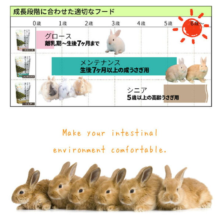 楽天市場 送料無料 牧草市場 牧草市場 スーパーラビットフード シニア 1kg うさぎ モルモット 5歳以上の高齢 毛玉ケア コントロール ペット用品 Fw キャラクターグッズpoccl