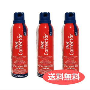  ybgRN^[ 200ml 3{Zbg ނih~g[jOXv[ 0886284313407 | ybgpi FW yCΉz