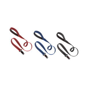  C^AferplastА fCgi K~[ }eBbN DAYTONA GUMMY MATIC [h G25/120  [ Lk [h ۃObY Upi o UObY 77180217 8010690158167 | ybgpi FW 