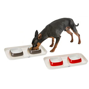  C^Aferplast ybgpvX`bNH O g[Zbg XS | ybgpi FW [ yCΉz