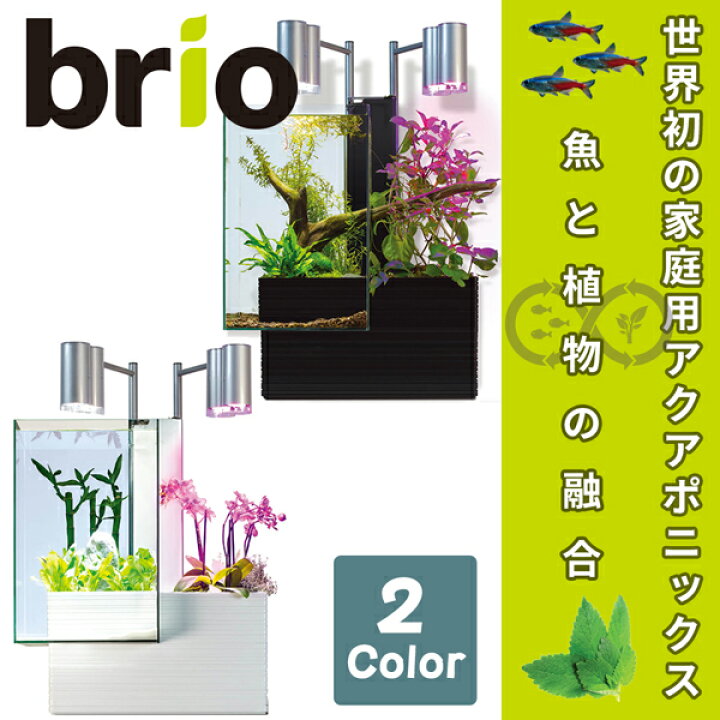 送料無料 「brio ブリオ 35 ホワイト 50Hz仕様 BRIO35-WE」 ブリオ brio 水槽 フルセット 東日本50Hz 家庭用 アクアポニックス brio35 植物 魚 ペット用品 FW キャラクターグッズPoccL brio(ブリオ) 35専用 キャビネット ホワイト