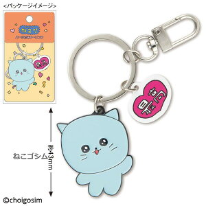 `FSV p[ctL[O CH-KR 4996740610660 [ t[}Olbg - G{̐EɁIRN^[K̃LN^[ObY yCΉz