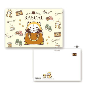 炢 XJ |XgJ[hiXJ JtFfUCjRA-PT041 4996740596322 Rascal the Raccoon [ yCΉz