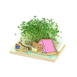 bN} XvEg͔|Lbg(}X^[h) RK1250C Rilakkuma [ yCΉz