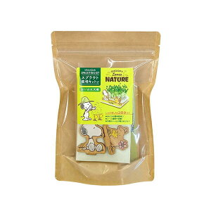 Xk[s[ XvEg͔|Lbgi卪j SNO1350 4961971404043 SNOOPY [ yCΉz