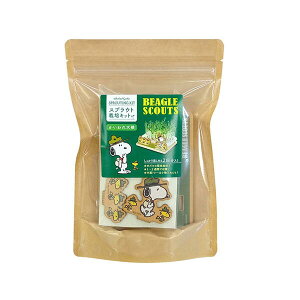 Xk[s[ XvEg͔|Lbgi卪j SNO1350 4961971404043 SNOOPY [ yCΉz