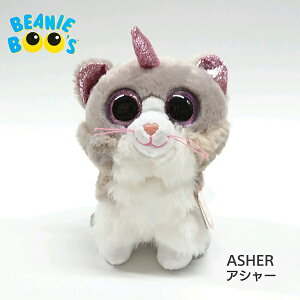 yTYz ʂ yBEANIE BOO'Sz ASHER AV[ r[j[u[Y L ˂ lR MTCY 15cm