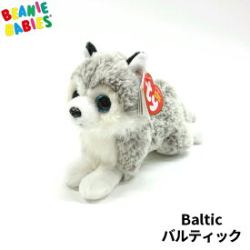 【TY】 ぬいぐるみ 【BEANIE BABIES】 Baltic バルティック Mサイズ ビーニーベイビーズ いぬ 犬