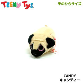 【TY】 俵型ぬいぐるみ 【TEENy Tys】 CANDY キャンディー ティーニータイズ 犬 パグ 手のひらサイズぬいぐるみ
