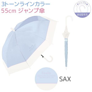 y10OFFIz WvP 55cmy3g[CJ[z PINK / PURPLE / SAX Vv܂^茳 eOXt@Co[ K[Y WjA LbY qp P ̎q w bsOs