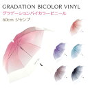 【10％OFF！】 婦人 長傘 ビニール傘 60cm 【グラデーションバイカラービニール】全6種類 透明傘 婦人傘 レディース ジュニア 大人 女性 中学生 高校生 大学生 キレイおしゃれ オシャレ Long Umbrella ジャンプ傘 雨傘 ラッピング不可