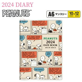 【50%OFF!】2024年スケジュール帳 PEANUTS A6マンスリー スクエア PD-1S PEANUTS