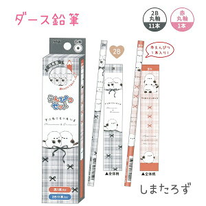 낿 _[XM S2 y܂낸 / ܂낸z y2B ێ 11{EԉM ێ 1{z ҂ ЃNbNX Vw낿񂸕RNV  V}GiK `Fb