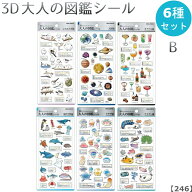 【お一人様1セット 再販なし 246】3D大人の図鑑シール 6種セット B【シマエナガ / 天体 / カクテル / 海…