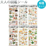 【お一人様2セットまで 再販なし 289】大人の図鑑シール 6種セット【アミューズメント / 健康診断 / 赤ち…