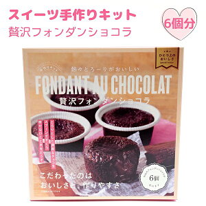 y12/11܂Ń|CgAbvIz HANDMADE KIT 6Lbg yґtH_VRz₷ȒPǂЂƂ̂I Z`RIЃ~gX^C XC[c